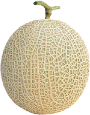 Fresh Cantaloupe Fruit Isolated PNG Image