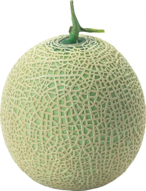 Fresh Cantaloupe Isolatedon Blue Background.png PNG Image