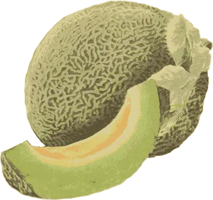 Fresh Cantaloupeand Slice Illustration PNG Image