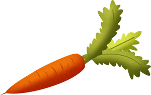 Fresh Carrot Illustration.png PNG Image