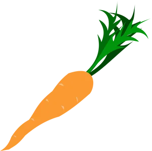 Fresh Carrot Illustration.png PNG Image