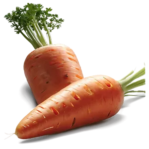 Fresh Carrot PNG Ioj PNG