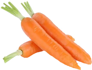 Fresh Carrots Isolated.png PNG Image