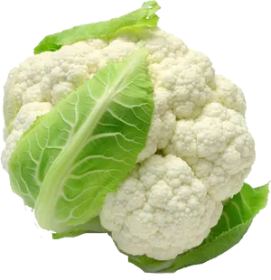 Fresh Cauliflower Isolated.png PNG Image