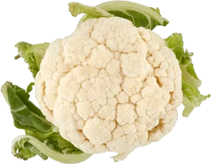 Fresh Cauliflower Isolated.png PNG Image