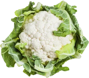 Fresh Cauliflower Isolated.png PNG Image