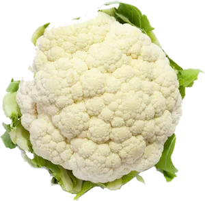 Fresh Cauliflower Isolated.png PNG Image