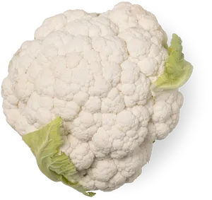 Fresh Cauliflower Isolated.png PNG Image