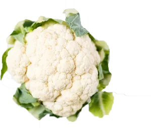 Fresh Cauliflower Isolated.png PNG Image