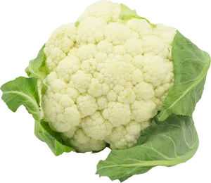 Fresh Cauliflower Isolatedon Grey PNG Image