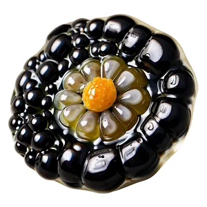 Fresh Caviar Close-up Png Ihd67 PNG Image