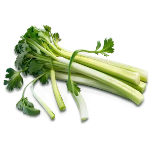 Fresh Celery Png 06252024 PNG Image