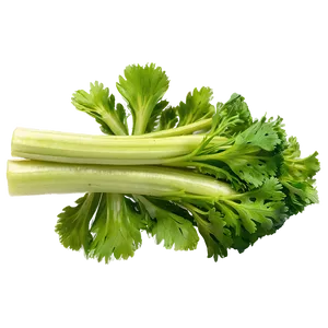 Fresh Celery Png Rok29 PNG Image