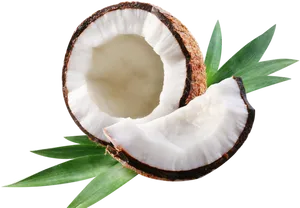 Fresh Coconut Halfwith Green Leaves PNG Image