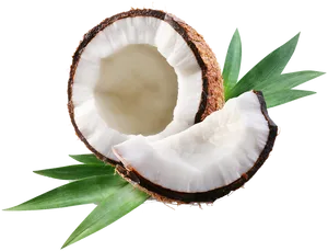 Fresh Coconut Halfwith Green Leaves PNG