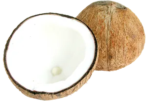 Fresh Coconut Halves PNG