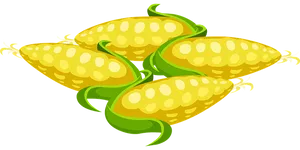 Fresh Corn Cobs Illustration PNG
