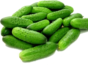 Fresh Cucumbers Pile.png PNG Image