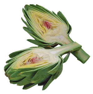 Fresh Cut Artichoke Halves.png PNG Image