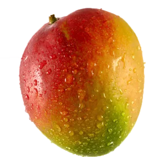 Fresh Dew Kissed Mango PNG Image