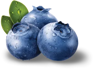 Fresh Dewy Blueberries PNG Image