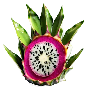 Fresh Dragonfruit Slice Png Yhw PNG Image