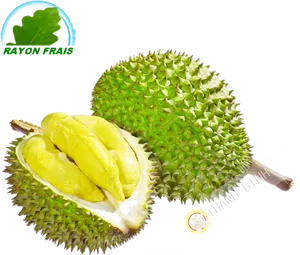 Fresh Durian Fruit Cut Open PNG Image