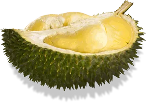 Fresh Durian Fruit Half Cut PNG Image