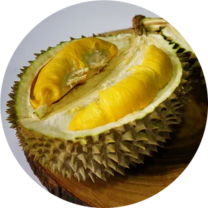 Fresh Durian Fruit Halved PNG Image