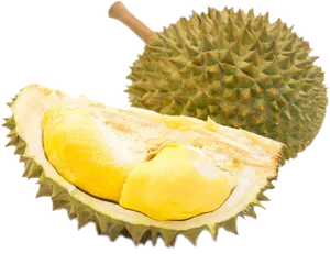 Fresh Durian Fruit Opened PNG Image