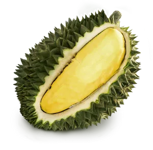 Fresh Durian Fruit Slice.png PNG Image