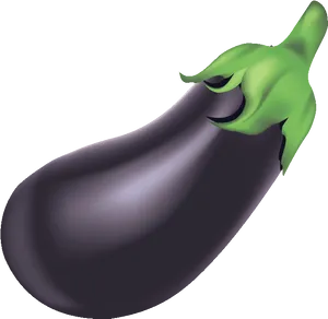 Fresh Eggplant Illustration.png PNG Image