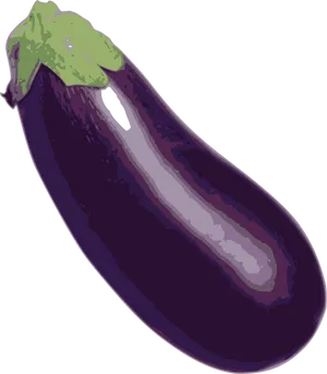 Fresh Eggplant Illustration PNG Image