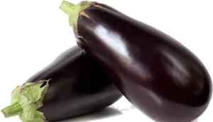 Fresh Eggplants Isolated PNG Image