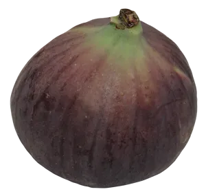 Fresh Fig Fruit Isolated PNG Image