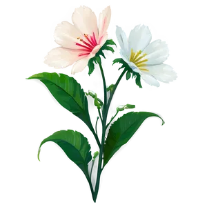 Fresh Flower Stem Png Uit PNG Image