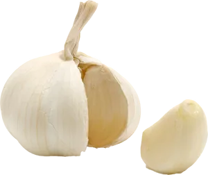 Fresh Garlic Bulband Clove PNG Image