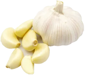 Fresh Garlic Bulband Cloves.png PNG