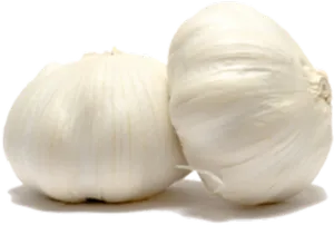 Fresh Garlic Bulbs PNG Image