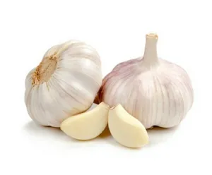 Fresh Garlic Bulbsand Cloves PNG Image