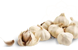 Fresh Garlic Bulbsand Cloves PNG Image