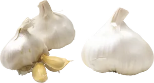 Fresh Garlic Bulbsand Cloves.png PNG Image