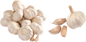 Fresh Garlic Bulbsand Cloves PNG Image