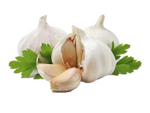 Fresh Garlic Bulbswith Parsley Leaves.png PNG Image