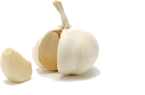 Fresh Garlic Cloveand Bulb PNG Image