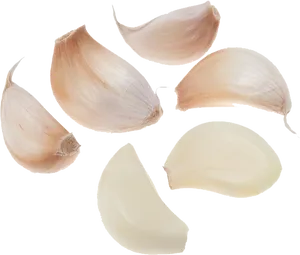 Fresh Garlic Cloves Isolated PNG Image