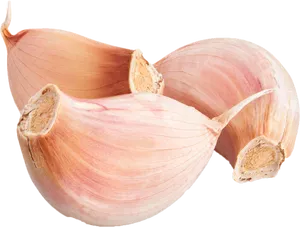 Fresh Garlic Cloves Transparent Background PNG Image