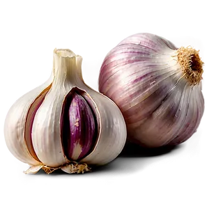 Fresh Garlic PNG 95 PNG