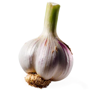 Fresh Garlic PNG Ipt PNG