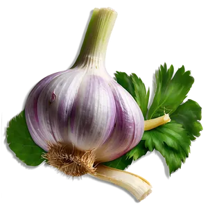 Fresh Garlic PNG Svu72 PNG